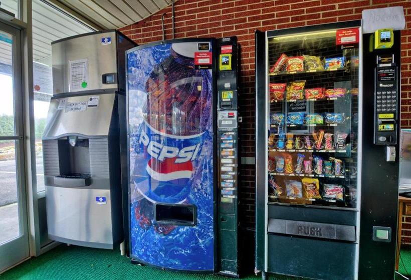 Отель Knob Hill Motor Lodge