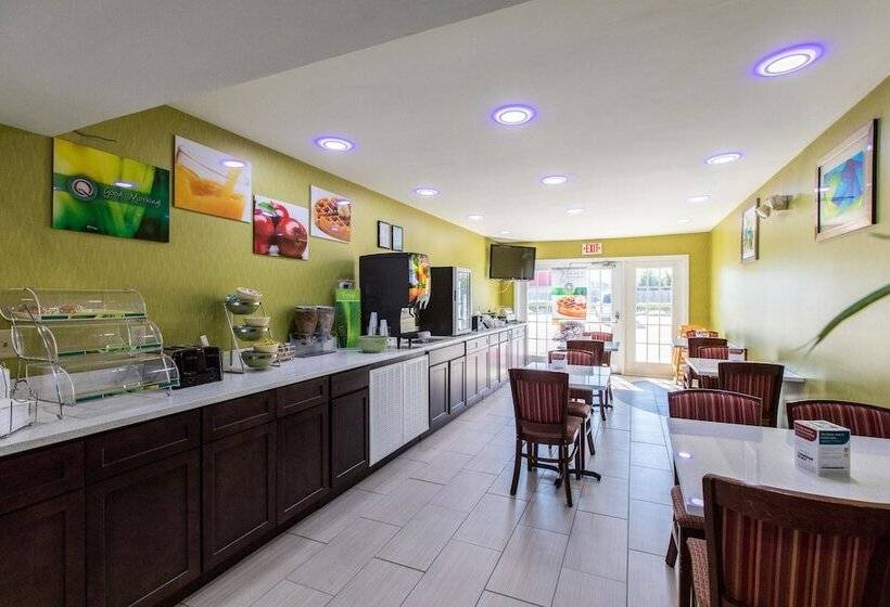 酒店 Quality Inn Albertville Us 431