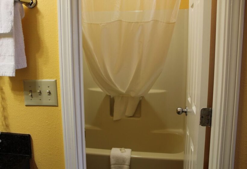 酒店 Quality Inn Albertville Us 431