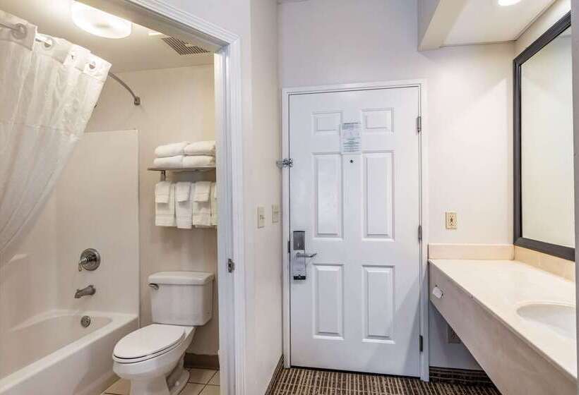 ホテル Quality Inn Rome South