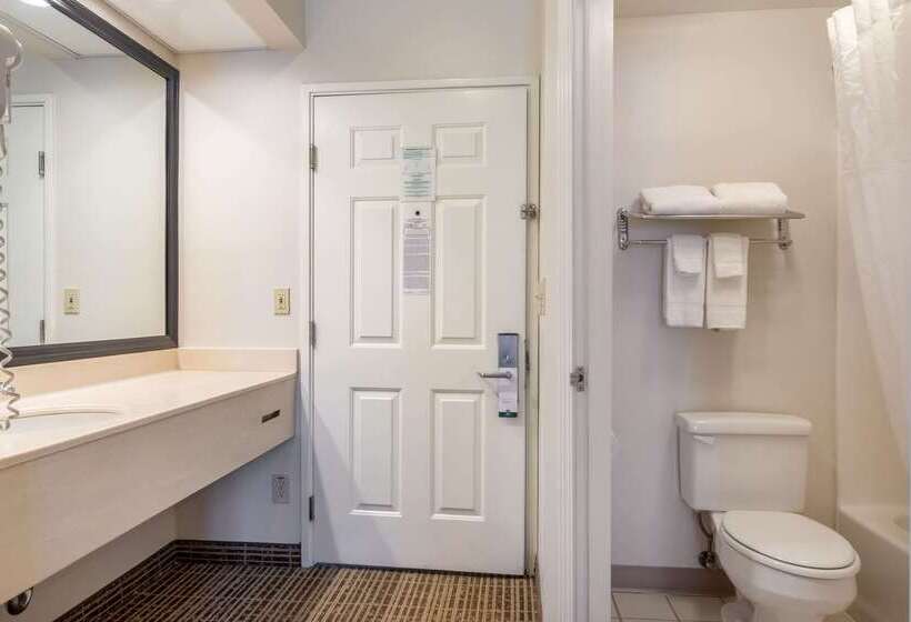 ホテル Quality Inn Rome South