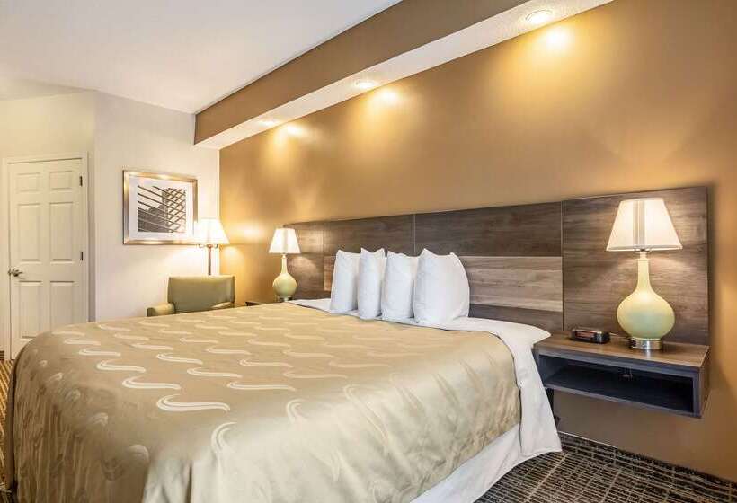 ホテル Quality Inn Rome South