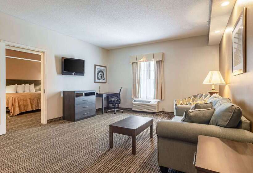 ホテル Quality Inn Rome South