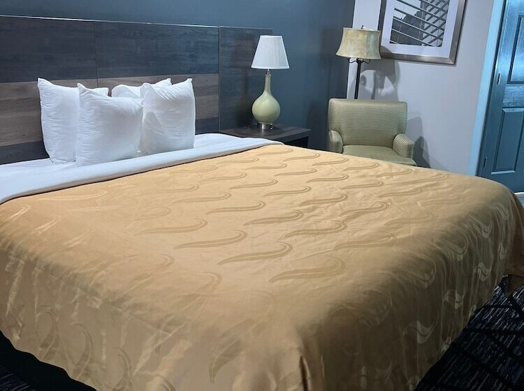 ホテル Quality Inn Rome South