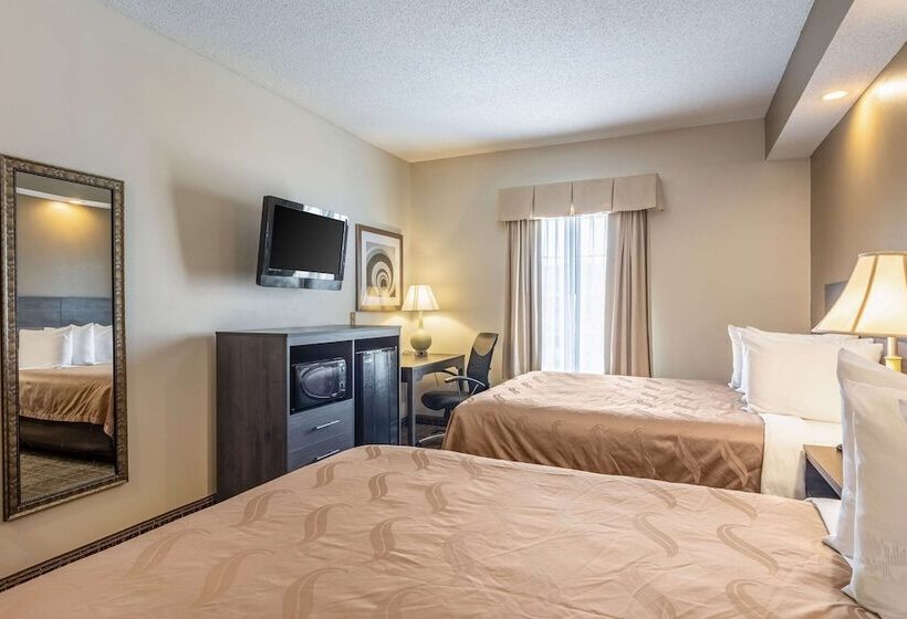 ホテル Quality Inn Rome South