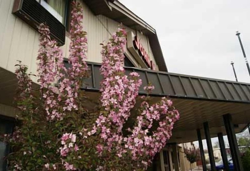 ホテル Rodeway Inn