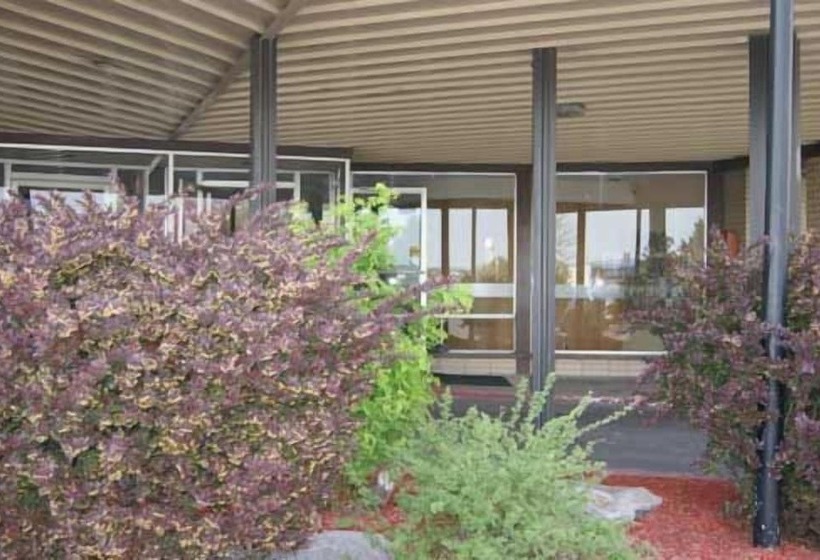 ホテル Rodeway Inn