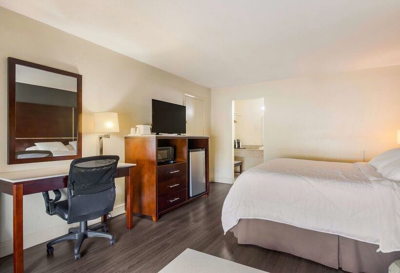 Surestay Hotel By Best Western Sarasota Lido Beach