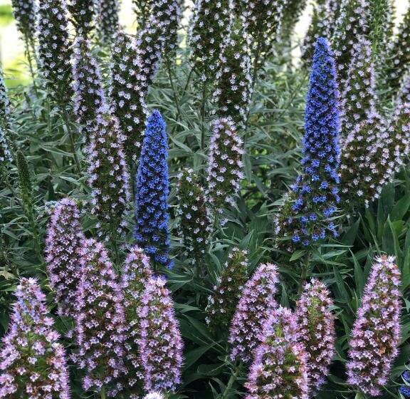 호텔 The Inn At The Tides