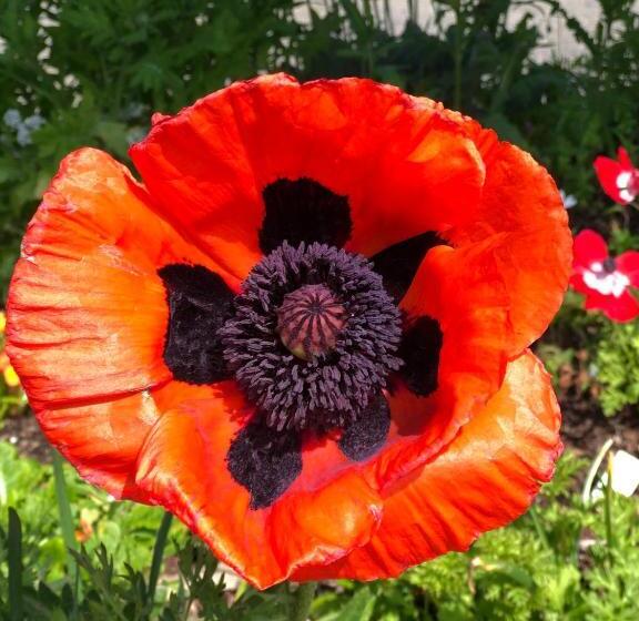 호텔 The Inn At The Tides