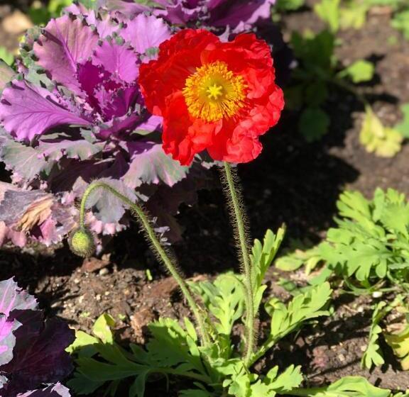 호텔 The Inn At The Tides