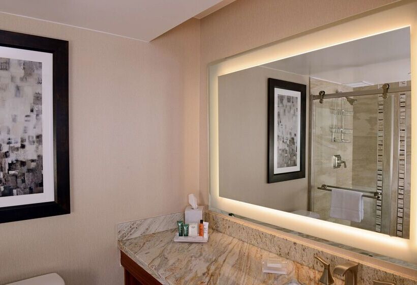 Отель The Inverness Denver, a Hilton Golf & Spa Resort