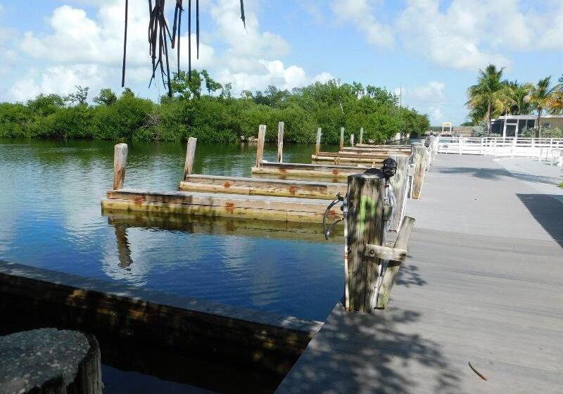 فندق على الطريق Kingsail Resort