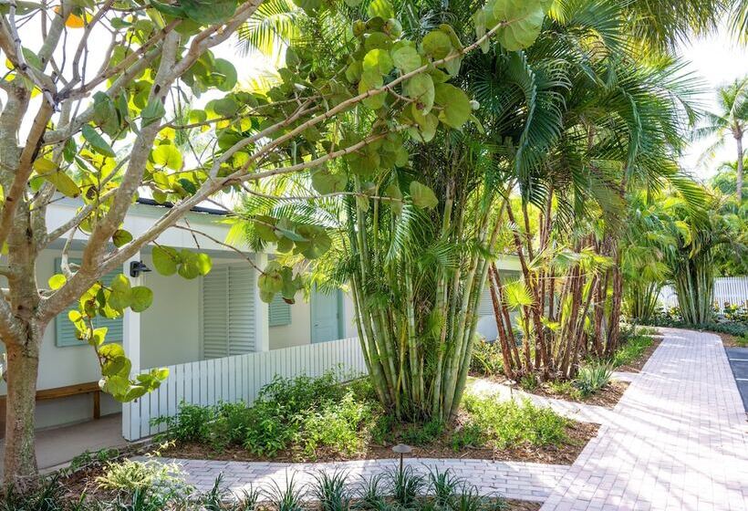 فندق على الطريق Islander Resort