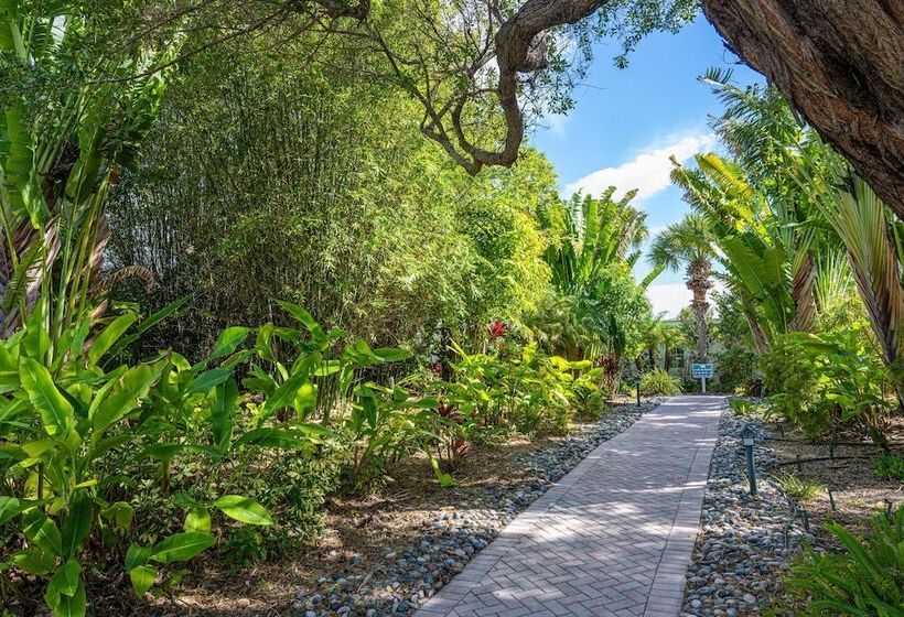 فندق على الطريق Islander Resort