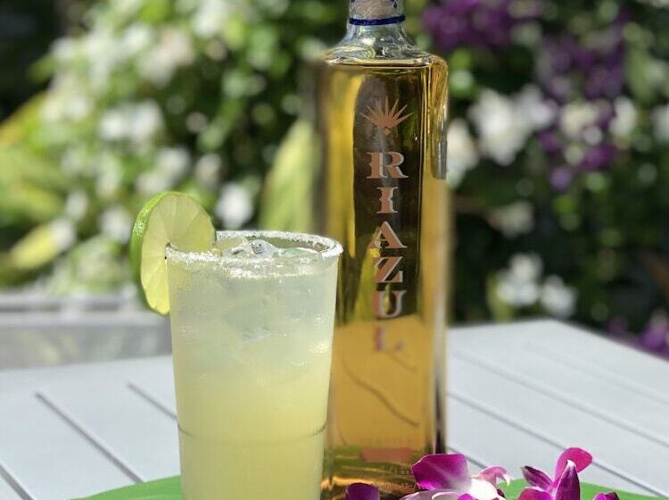 Мотель Orchid Key Inn   Adults Only