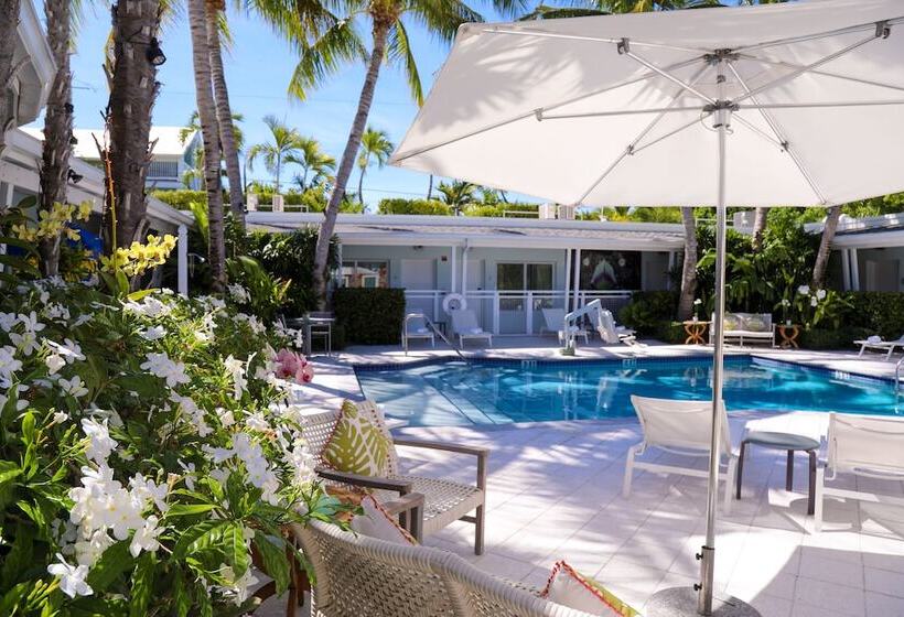 Мотель Orchid Key Inn   Adults Only