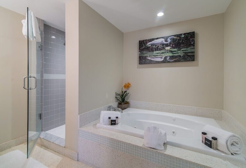 Мотель Orchid Key Inn   Adults Only