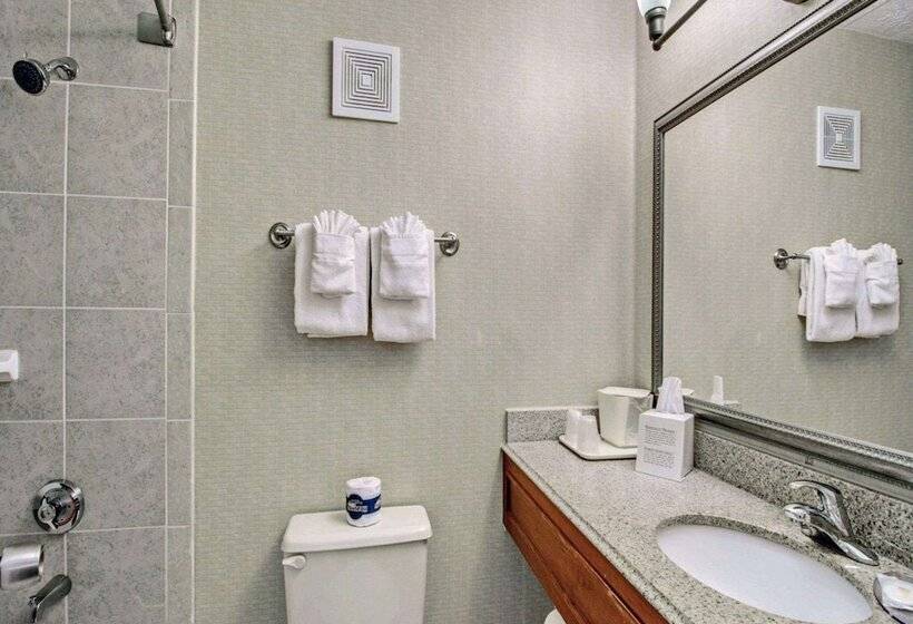 فندق على الطريق Quality Inn Near Martinsville Speedway