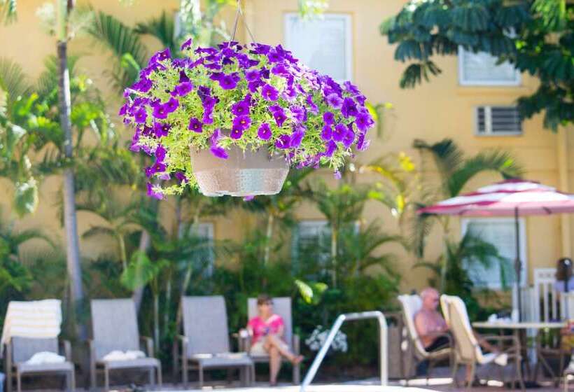 渡假胜地  Inn At The Beach