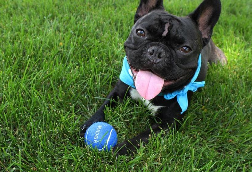 リゾートホテル Lodge Geneva National