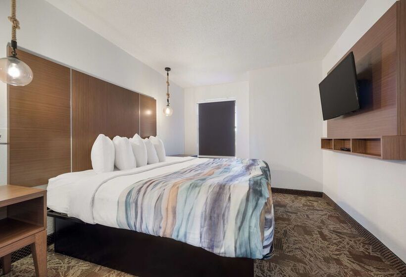 Surestay Hotel By Best Western Tuscaloosa Southeast