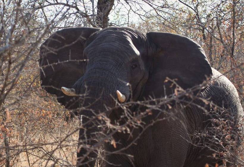 בית מלון כפרי Abelana River Lodge