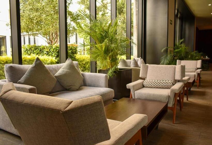 Отель Fujitaya Querétaro