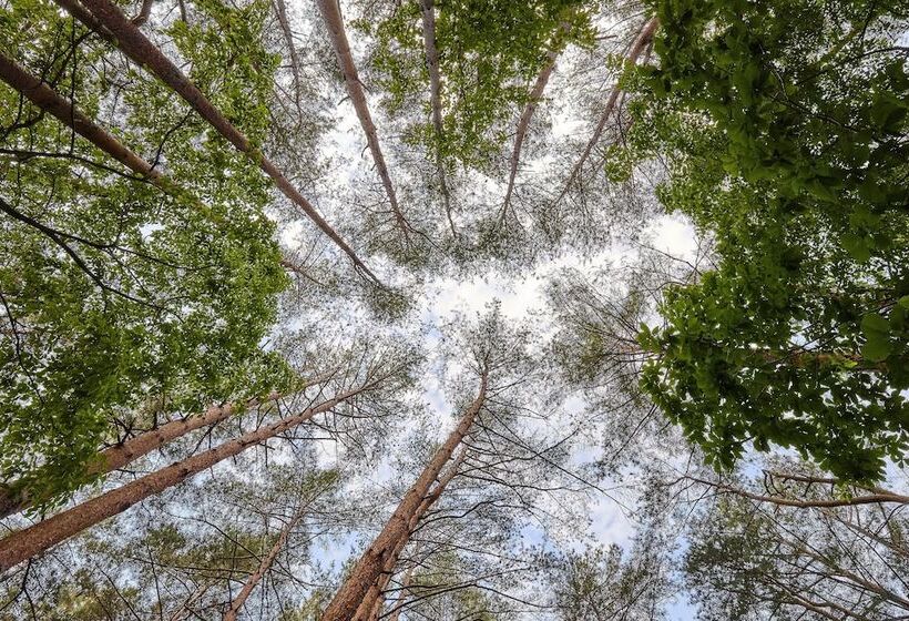 Hotel Geumgangsong Ecorium