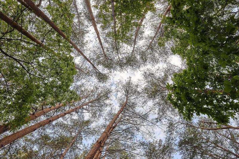 Hotel Geumgangsong Ecorium