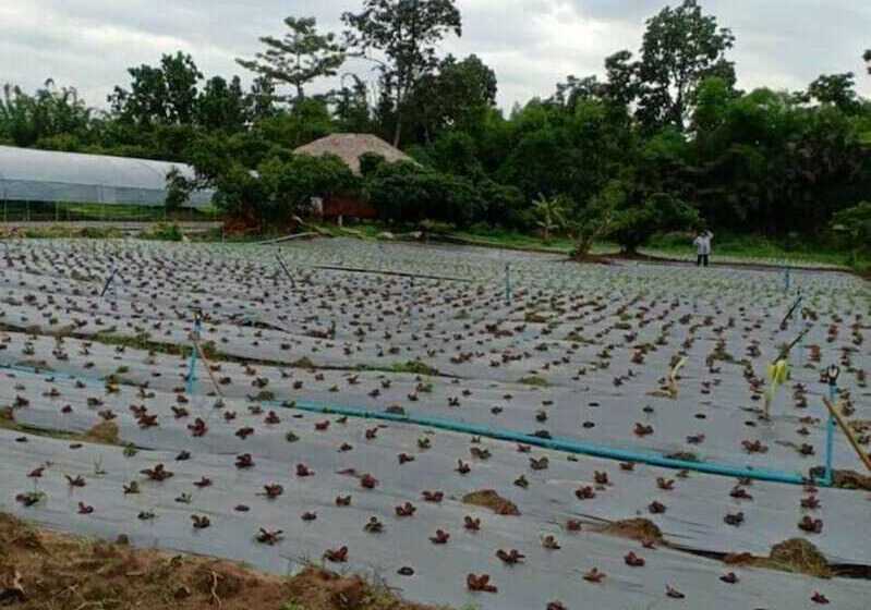 ホテル In Suan Sin