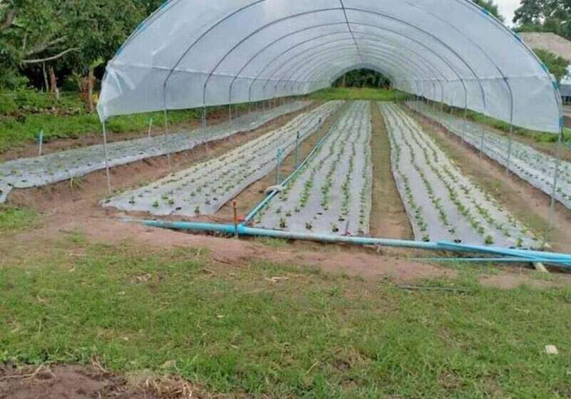 ホテル In Suan Sin