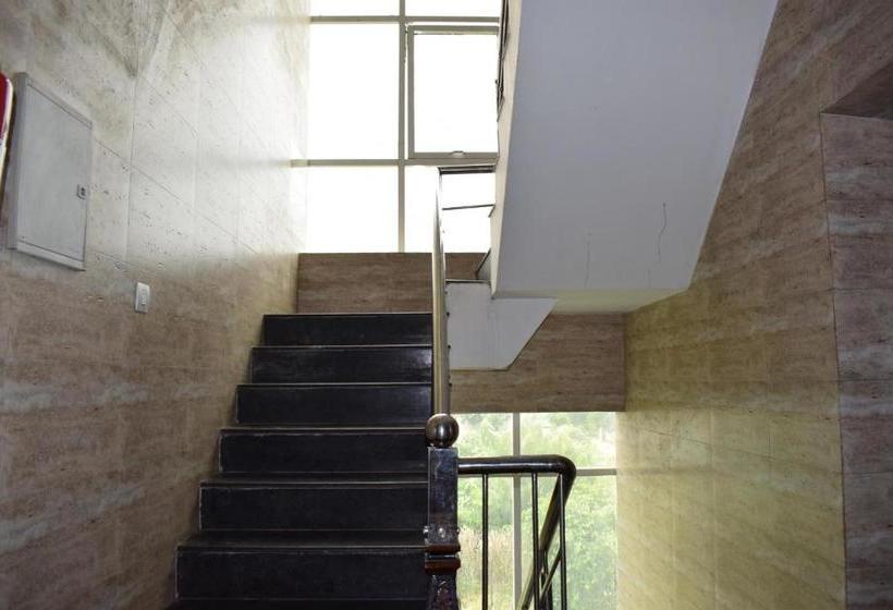 בית מלון כפרי Palm Tree Sector 31