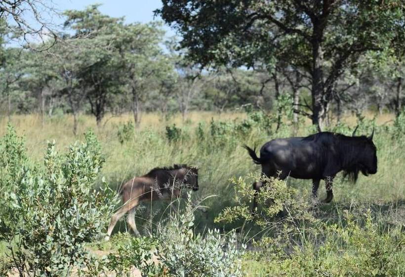 ホテル Zangarna Game Lodge