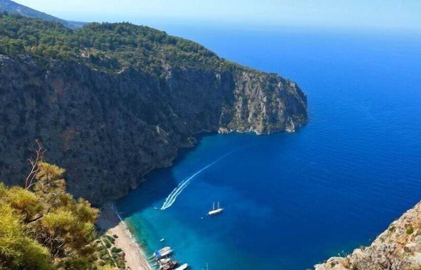 Hzd Apartments Hostel