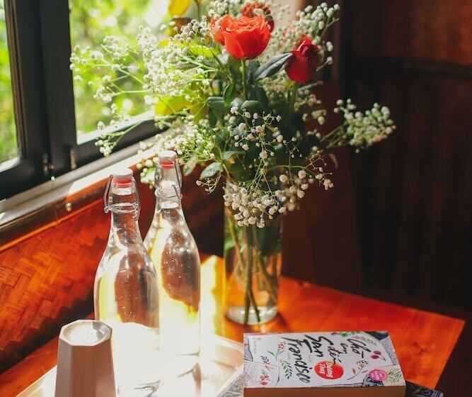 هاستل The Art Golden Jungle House