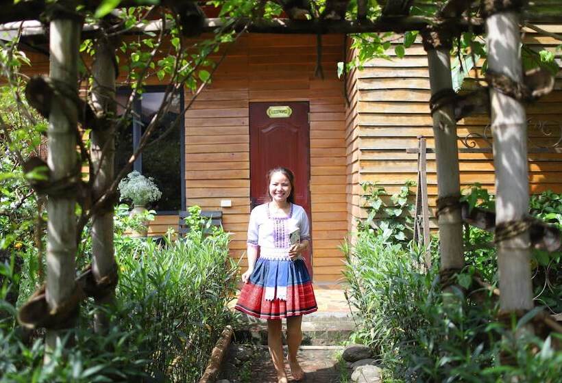 هاستل The Art Golden Jungle House