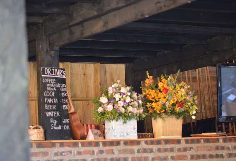 هاستل The Art Golden Jungle House