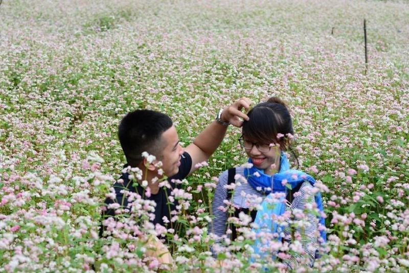 هاستل The Art Golden Jungle House