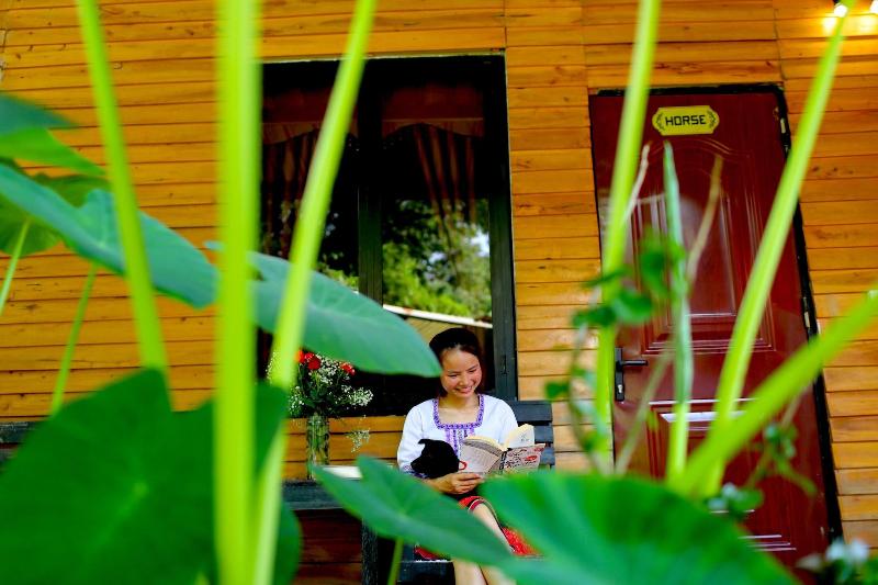 هاستل The Art Golden Jungle House