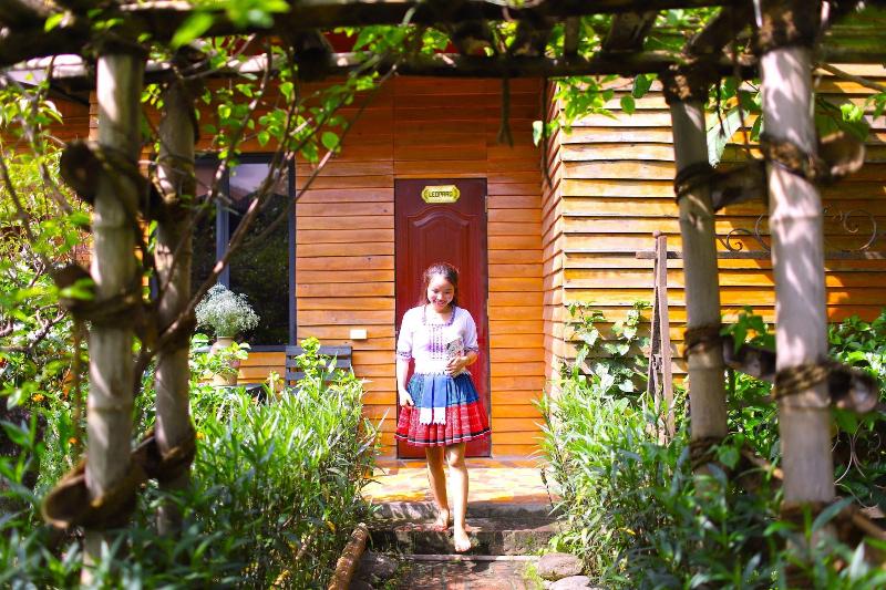 هاستل The Art Golden Jungle House