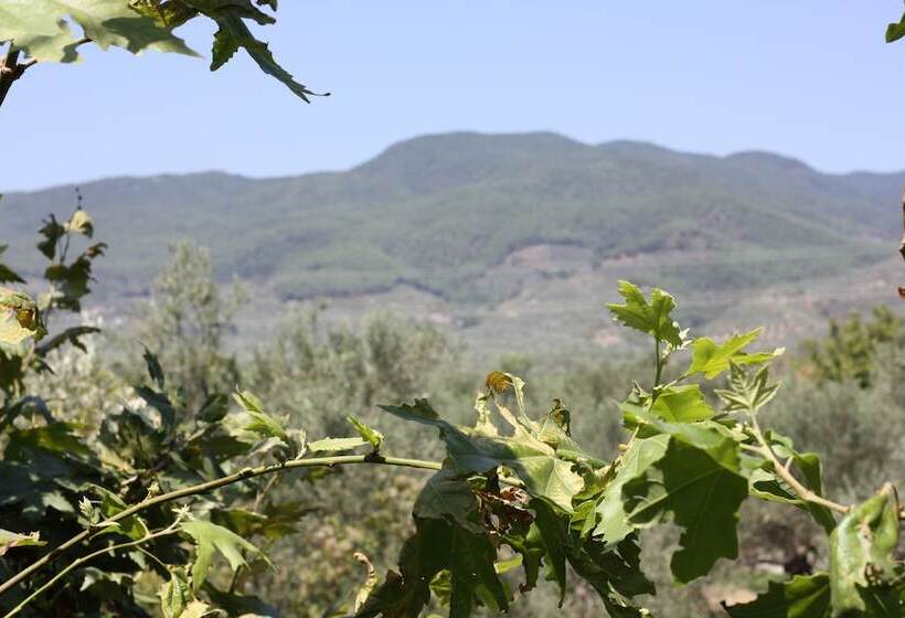 Antik Manastir Butik Otel