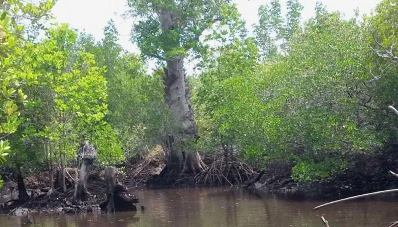 ベッドアンドブレックファースト Berakit Bay Resort