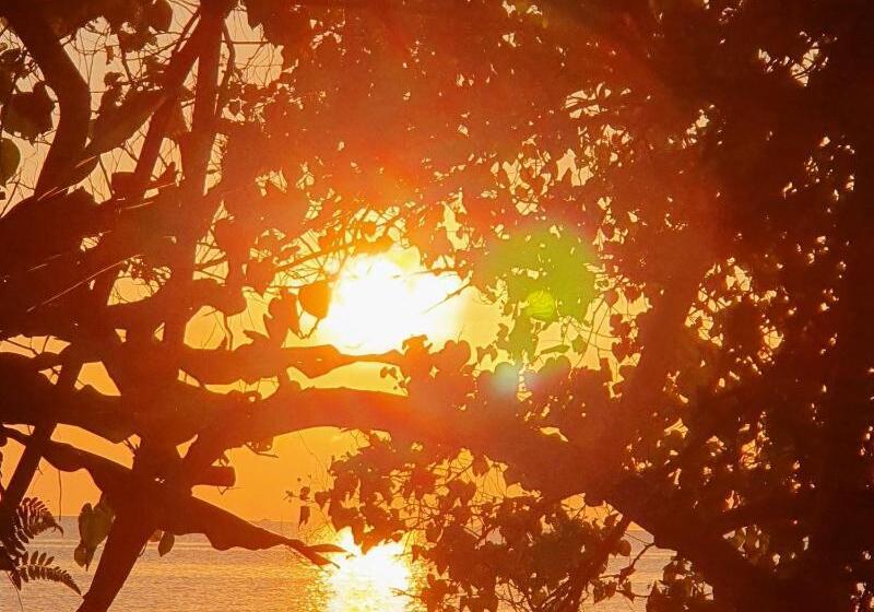 ベッドアンドブレックファースト Berakit Bay Resort