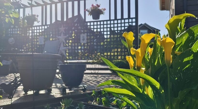 Sunny Island By White Rock B&b