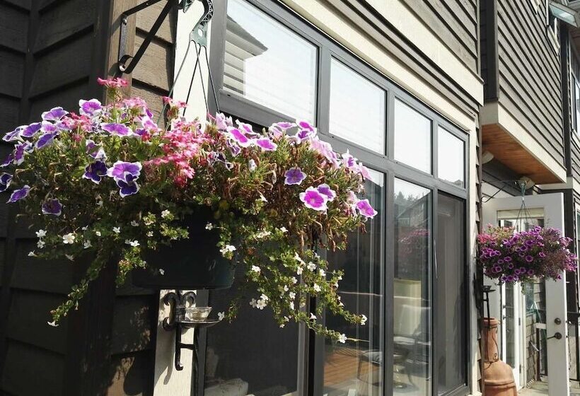 Sunny Island By White Rock B&b