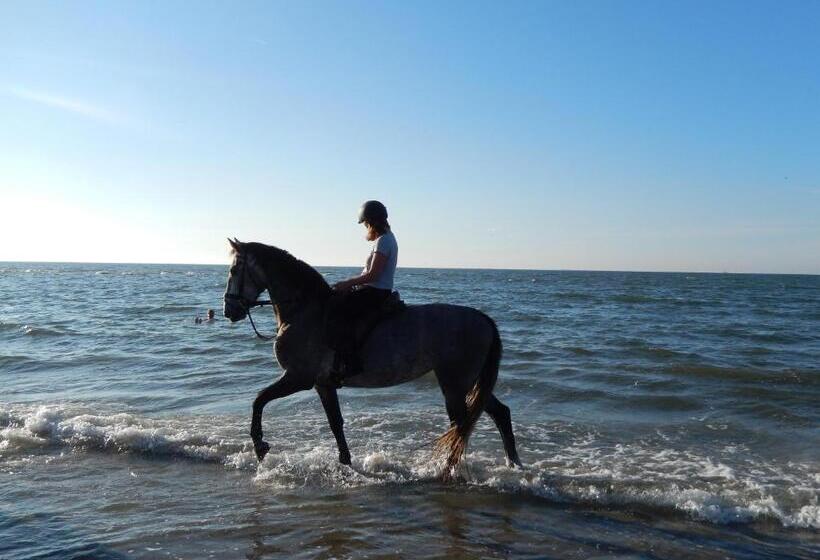 De Cyprian Bed & Breakfast