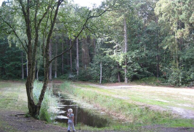 De Cyprian Bed & Breakfast