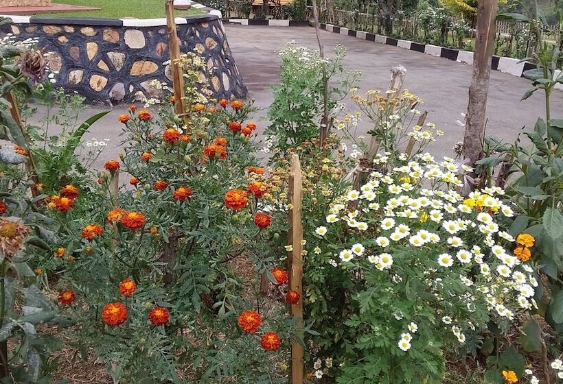 Flagship Piazza Hotel   Hostel