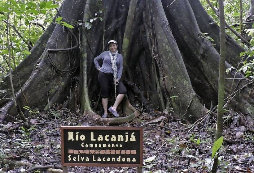 בית מלון כפרי Campamento Rio Lacanja